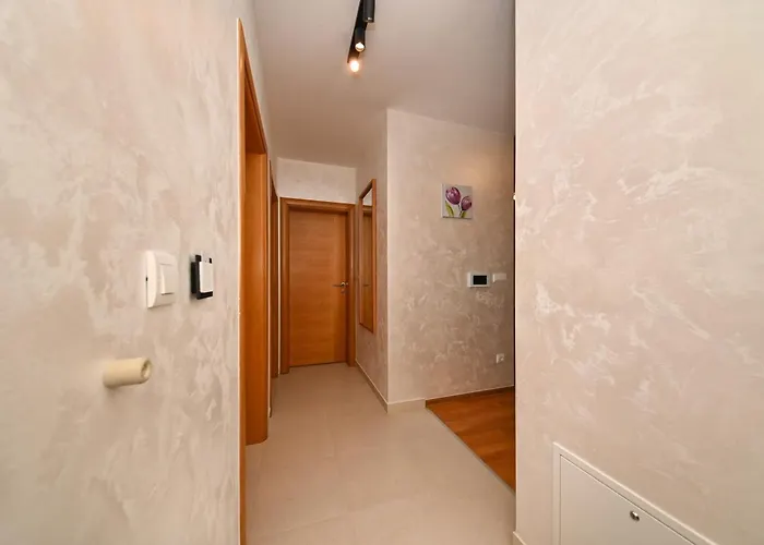 בית הארחה Petra ויר